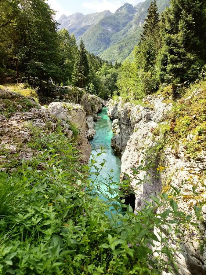 Beti Blu, Kaninska Vas Bovec Luaran gambar